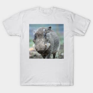 Warthog 003 T-Shirt